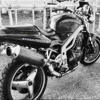 Speed triple 955 ASI