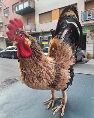 gallo artigianale 