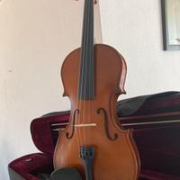 Violino