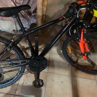 Rockrider 24 pollici