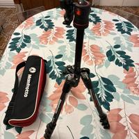 Manfrotto Befree Carbon Fiber (MKBFRC4-BH)