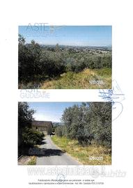 Terreno Agricolo Lamporecchio [A4339081]