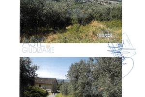 Terreno Agricolo Lamporecchio [A4339081]