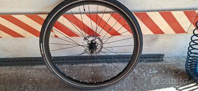 Ruote davanti a dietro Schwalbe da 29