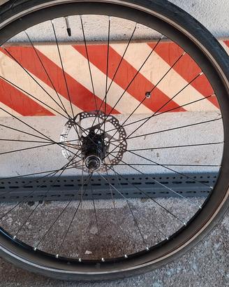 Ruote davanti a dietro Schwalbe da 29