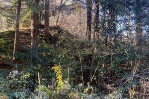 Immobile in asta di 31569 m² a Valganna