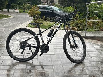 Rampichino ragazzi/ Olympia 2023