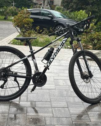 Rampichino ragazzi/ Olympia 2023