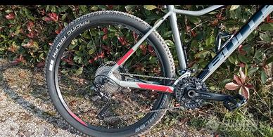 Mountain bike da donna