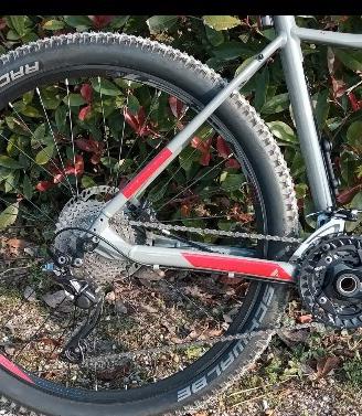 Mountain bike da donna