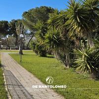 App.to in Via Canale di Sicilia con box e p.auto