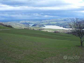 Rustico - Guardialfiera