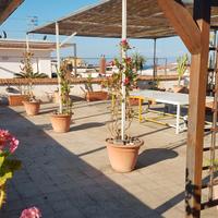 Ampio appartamento