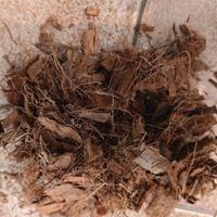 Terriccio e substrati