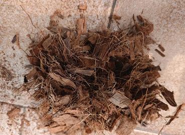 Terriccio e substrati