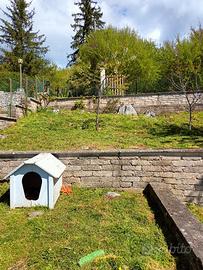 Appartamento Altipiani di Arcinazzo