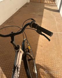 Bici da passeggio