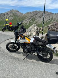 Ducati scrambler 800🟡