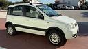 fiat-panda-1-2-4x4-climbing-con-climatizzatore