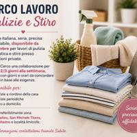  Disponibile per pulizie e stiro Felino e dintor
