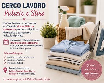  Disponibile per pulizie e stiro Felino e dintor