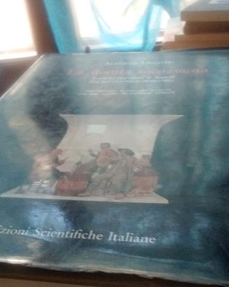 La dorata menzogna