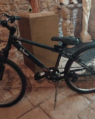 Bicicletta mountain bike