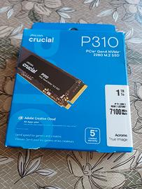 crucial p310 