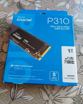 crucial p310 