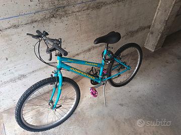 bicicletta bambino