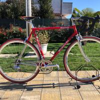 Bianchi da corsa