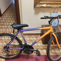 Bici mai usata 