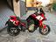 Immagine 6