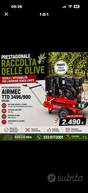 PRESTAGIONALE RACCOLTA OLIVE