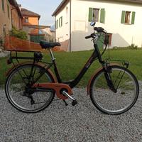 bicicletta elettrica 