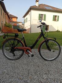 bicicletta elettrica 