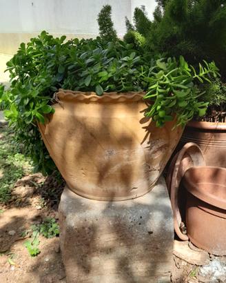vaso salentino in terracotta 