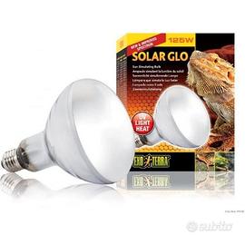 Lampada rettili exotica 100 watt