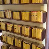 Grande collezione libri gialli 