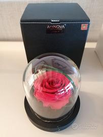 Rose stabilizzate profumate