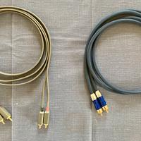 Set Cavi Stereo RCA-Ricable (1m) + WireWorld (2m)