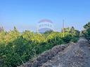 terreno-acireale