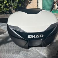 Shad sh39