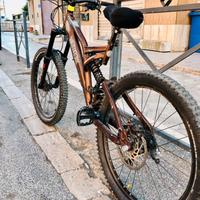 Mountain bike