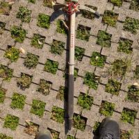 Piccozza Grivel alpinismo