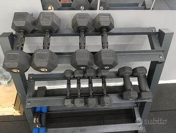 manubri esagonali lacertosus