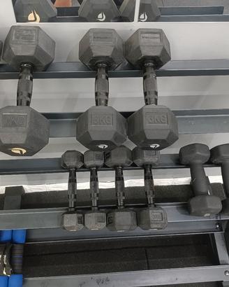 manubri esagonali lacertosus