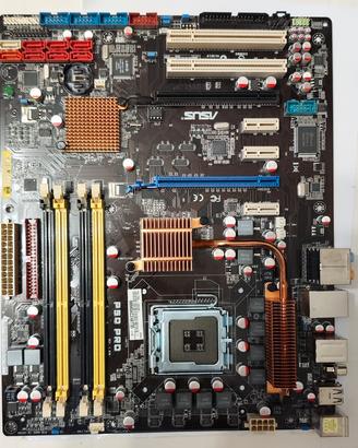Scheda Madre Asus P5q Pro