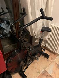 Assault bike