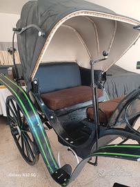 carrozza di cavalli